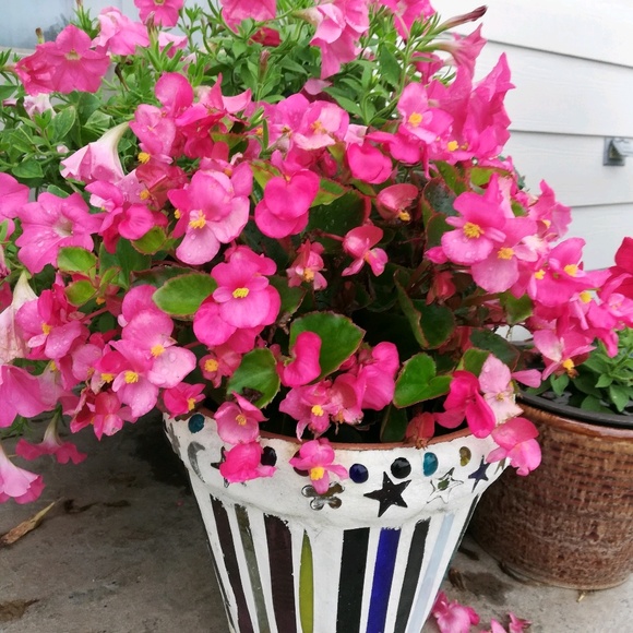 Meet your Posher, Michele - Picture 1 of 1